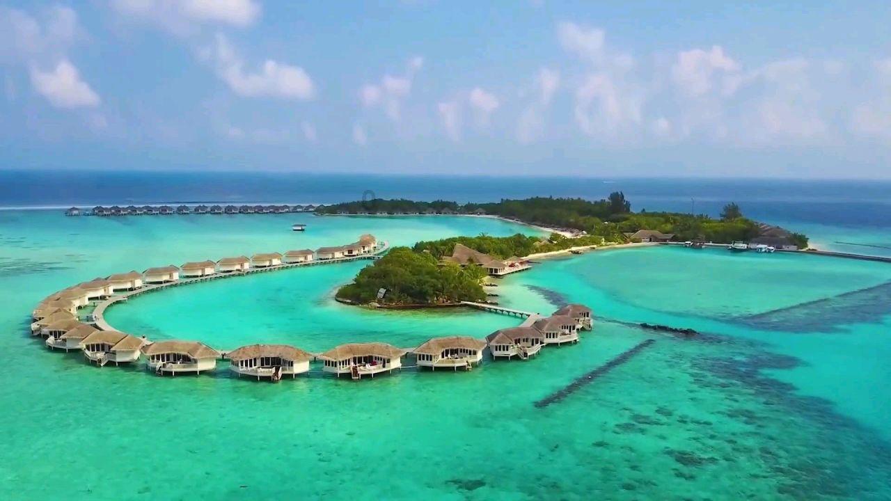 熊出没夺宝历险
