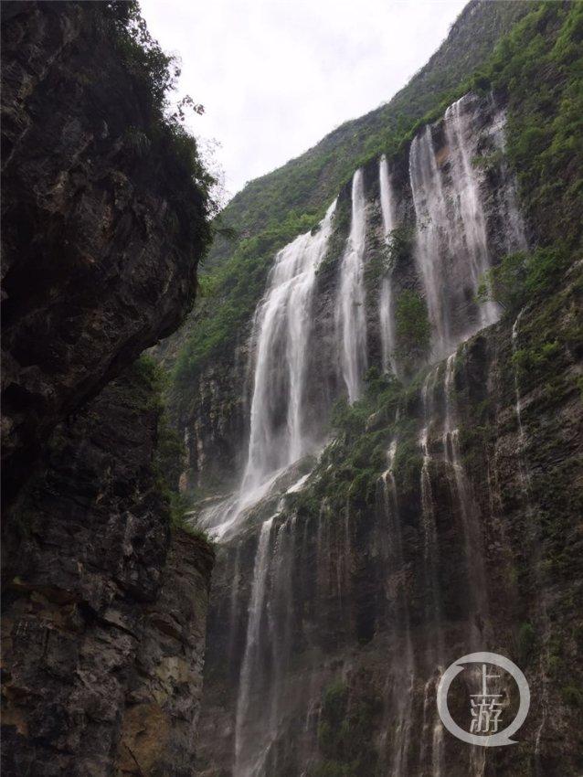 茶业智造“加速跑”