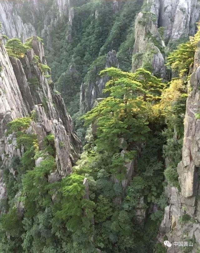 证监会部署今年资本市场工作突出三条主线,释放了哪些信号?
