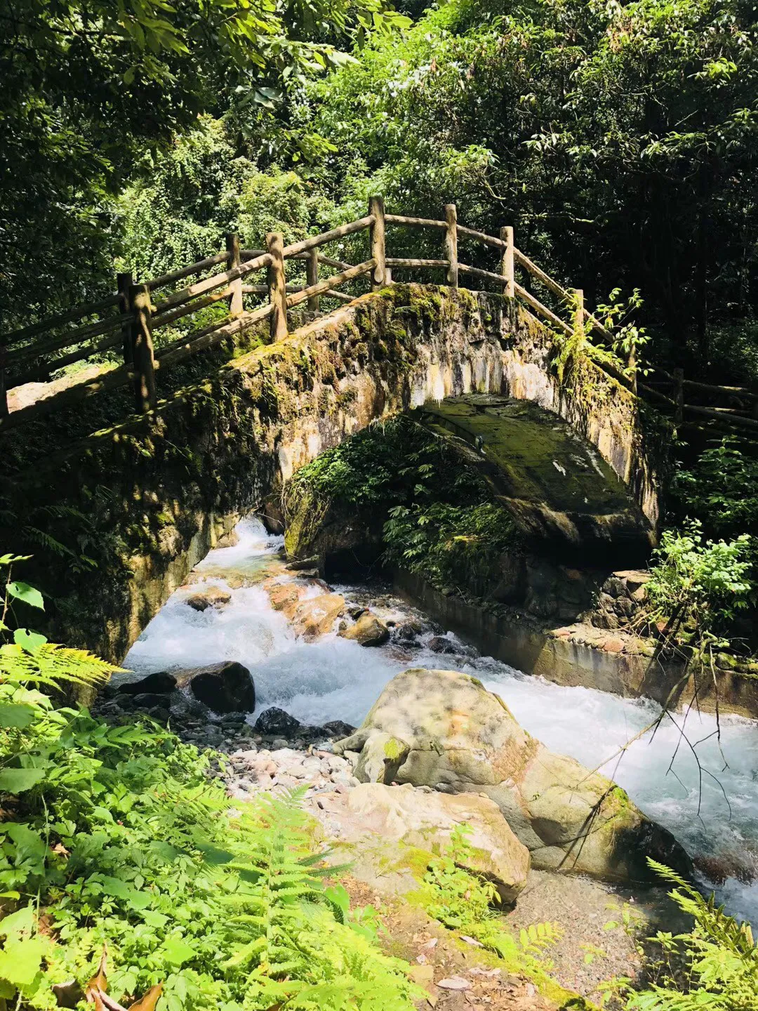 老爹烘培店中文版